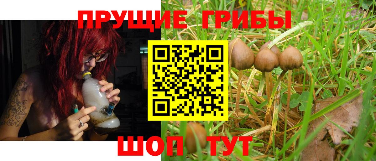 Галлюциногенные грибы MAGIC MUSHROOMS  Вход с VPN  Полевской  Галлюциногенные грибы Magic Shrooms 