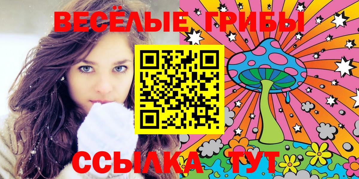 Псилоцибиновые грибы MAGIC MUSHROOMS Полевской